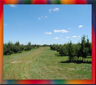 framedroad7 framedroad7