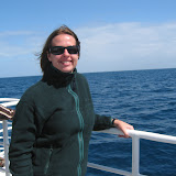 Whale watching near Harvey Bay