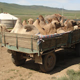 140 Aug 2006 Kharkorin, Mongolia.JPG