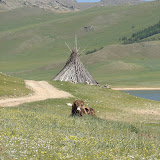 Yak attack...or not.