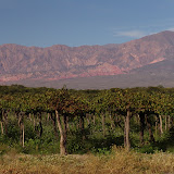 DSC04021.JPG