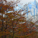 DSC03401.JPG