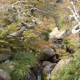 DSC03526.JPG