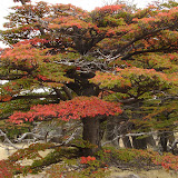 DSC03559.JPG