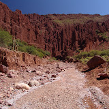 Somewhere outside Tupiza -  during our horseback riding trip.