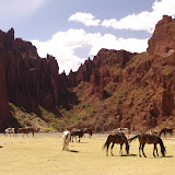 109 April 2006 Tupiza, Bolivia Horseback riding through the canyons - 2 day trip.JPG