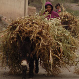 132 April 2006 Tupiza, Bolivia Horseback riding through the canyons - 2 day trip.JPG