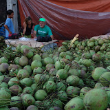 DSC00872.JPG