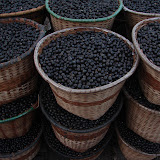 Belem market - Açai fruit