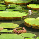 DSC01021.JPG