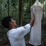 A butterfly researcher at Ferreira Penna Research Station in Caxiuana along the Amazon