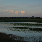 311 June 2005 Belo sur Tsiribihina, Madagascar.JPG