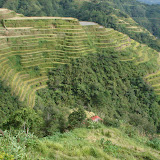Near Banaue. One of the 
many amazing terraces. All 
the terraces I have pictures of 
are around/in Banaue where 
they are 2000 years old.