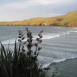 041 August 2005 New Zealand Otago Peninsula near Dunedin.JPG