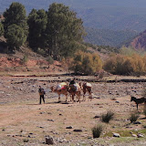 DSCN0271.JPG