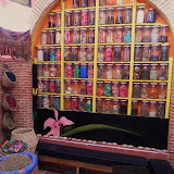 DSCN0082.JPG
