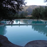 DSCN0319.JPG