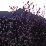 DSCN0343.JPG