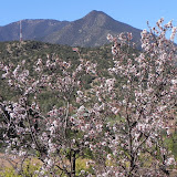 DSCN0350.JPG