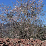 DSCN0377.JPG