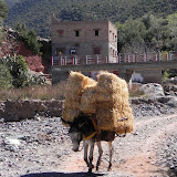 DSCN0380.JPG