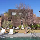 DSCN0453.JPG