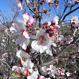 DSCN0471.JPG