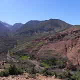 DSCN0486.JPG