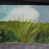  &ndash; Johanna's Plant