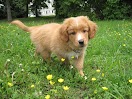 IMG_1161.JPG
