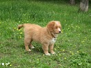 IMG_1156.JPG