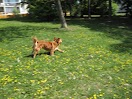 IMG_2404.JPG