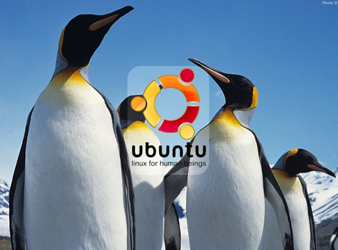 [wallpaper+ubunto+desbaratinando+papel de parede (28)[3].jpg]