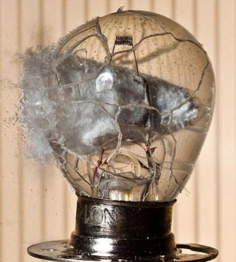 [fotos alta velocidade desbaratinando tiros balas  lampada2[3].jpg]