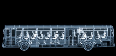xray01 xray01