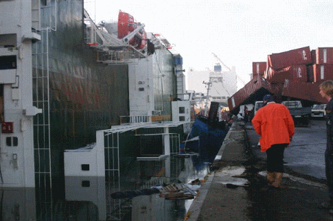 [ships1[2].gif]