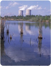 [vogtle2[4].jpg]
