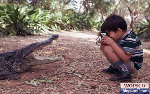 Brave Kid