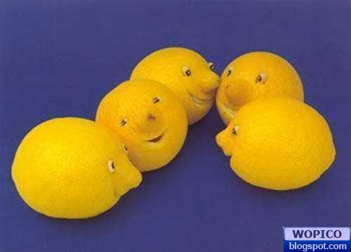 Lemon Group