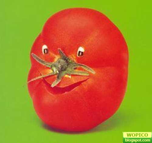 Tomato Smile