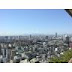 View from window.jpg