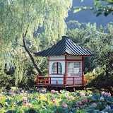 niwa2.jpg