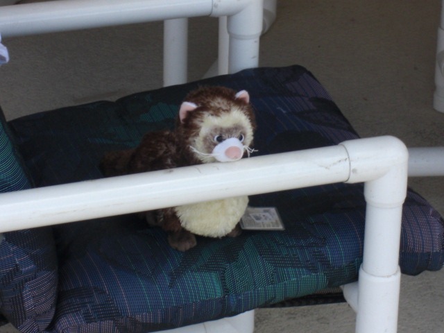 [VakantieOrlando20100202.jpg]