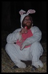 bunny