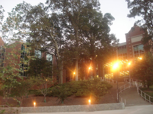 bioengineering