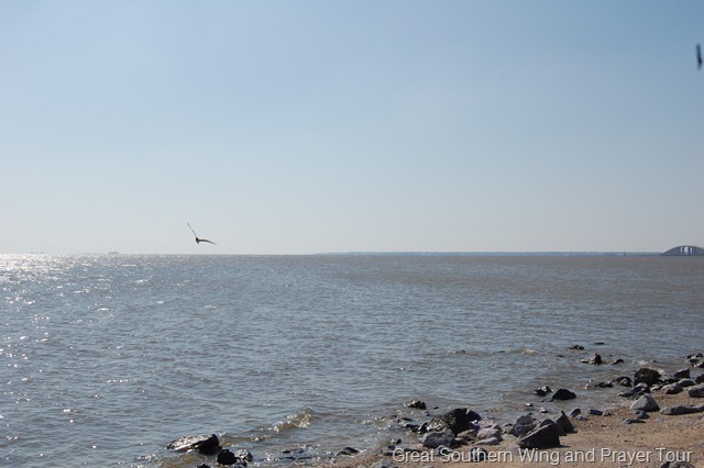[DSC_02312.jpg]