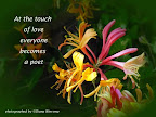  famous quotes