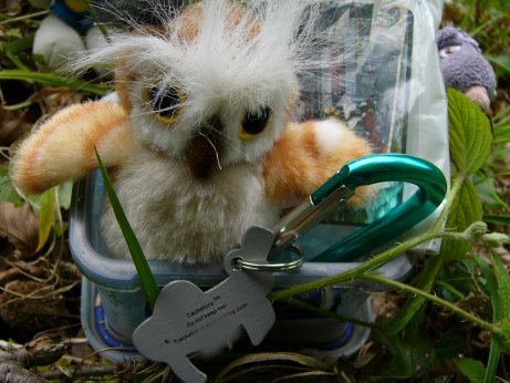 http://lh3.ggpht.com/_7ODftPSZPsY/S_PEUQMeD7I/AAAAAAAABAU/F684qIrzQKI/bubocfon1.jpg