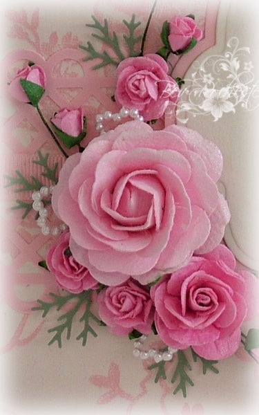 DSCF5724 DSCF5724