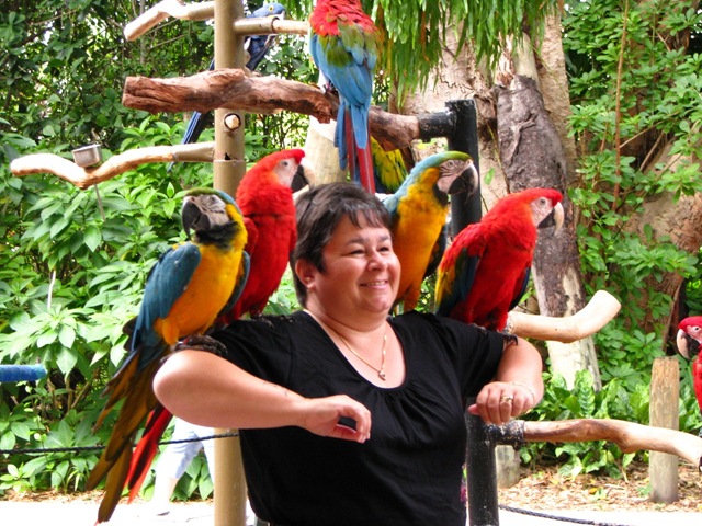 [IMG_08662.jpg]